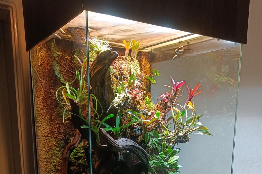 Rogier's Living Room Paludarium